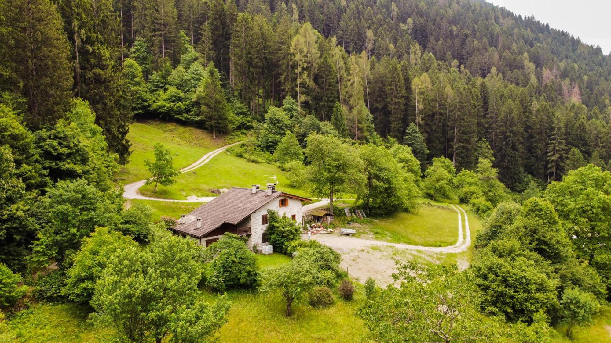 Luxury Chalet Dolomiti-Campiglio-Trentino Porte di Rendena Luaran gambar